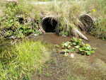 Multiple Culvert Crossing, Fogg Brook at Pease Rd Ext, Buxton, Maine