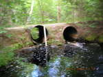 Multiple Culvert Crossing, Fogg Brook at Tannery Rd, Lowell, Maine