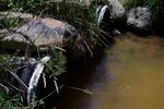 Multiple Culvert Crossing, French Stream at Tibbets Road, Corinna, Maine