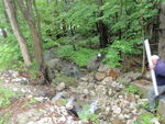 Multiple Culvert Crossing, Glantz Brook at Cambell Shore Rd, Gray, Maine
