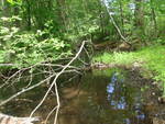 Multiple Culvert Crossing, Goodall Brook at Berwick Rd, Sanford, Maine