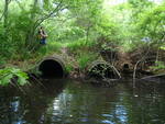Multiple Culvert Crossing, Goodall Brook at Emmerson Rd, Sanford, Maine