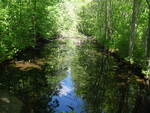 Multiple Culvert Crossing, Goodall Brook at Emmerson Rd, Sanford, Maine