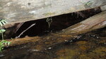 Multiple Culvert Crossing, Gott Brook at Town Line Road, Lee, Maine