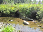 Multiple Culvert Crossing, Halfmoon Stream at Morse Rd, Knox, Maine