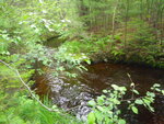 Multiple Culvert Crossing, Hamlin Brook at Route 11, Limington, Maine