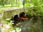 Multiple Culvert Crossing, Hamlin Brook at Wards Pond Rd, Limington, Maine