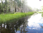 Multiple Culvert Crossing, Harris Brook at Hancock Pond Rd, New Portland, Maine