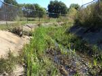 Multiple Culvert Crossing, Hart Brook at Westminster Road, Lewiston, Maine