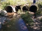Multiple Culvert Crossing, Hart Brook at Winn Street, Lewiston, Maine