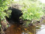 Multiple Culvert Crossing, Hay Brook at Snowshoe Lake Rd, T7 R6 WELS, Maine