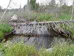 Multiple Culvert Crossing, Hay Brook at Unnamed, T7 R6 WELS, Maine
