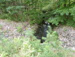 Multiple Culvert Crossing, Hayden Brook at Route 85, Raymond, Maine