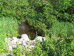 Multiple Culvert Crossing, Hewitt Brook at Ingraham Rd, China, Maine