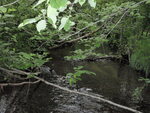 Multiple Culvert Crossing, Houston Brook at Aroostook Scenic Highway (Route 11), Hersey, Maine