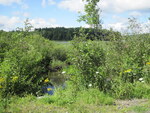 Multiple Culvert Crossing, Intervale Brook at Desert Pond Rd, Mount Vernon, Maine