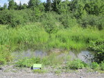 Multiple Culvert Crossing, Intervale Brook at Desert Pond Rd, Mount Vernon, Maine