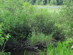 Multiple Culvert Crossing, Intervale Brook at Desert Pond Rd, Mount Vernon, Maine