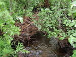Multiple Culvert Crossing, Jenks Brook at Quarry Ave, Brownville, Maine