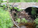 Multiple Culvert Crossing, Jenks Brook at Quarry Ave, Brownville, Maine