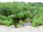 Multiple Culvert Crossing, Jones Brook at Old County Rd, Washington, Maine
