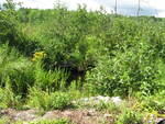 Multiple Culvert Crossing, Jones Brook at Old County Rd, Washington, Maine