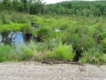 Multiple Culvert Crossing, Jones Brook at Old County Rd, Washington, Maine
