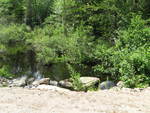 Multiple Culvert Crossing, Jones Brook at Old County Rd, Washington, Maine