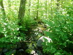 Multiple Culvert Crossing, Jones Brook at Ward Hill Rd, Madison, Maine