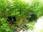 Multiple Culvert Crossing, Jones Brook at Ward Hill Rd, Madison, Maine