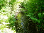 Multiple Culvert Crossing, Jones Brook at Ward Hill Rd, Madison, Maine