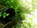 Multiple Culvert Crossing, Jones Brook at Ward Hill Rd, Madison, Maine