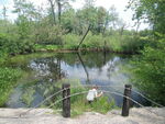 Multiple Culvert Crossing, Kimball Brook at Route 113, Fryeburg, Maine
