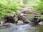 Multiple Culvert Crossing, Ladd Brook at Bates Rd, Abbot, Maine