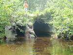 Multiple Culvert Crossing, Ladd Brook at Bates Rd, Abbot, Maine