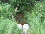 Multiple Culvert Crossing, Liscomb Brook at Crooked Rd, Bar Harbor, Maine