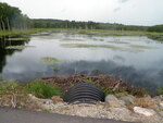 Multiple Culvert Crossing, Little Falls Brook at Carl Bailey Rd, Bristol, Maine