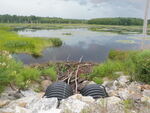 Multiple Culvert Crossing, Little Falls Brook at Carl Bailey Rd, Bristol, Maine