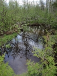 Multiple Culvert Crossing, Little Molunkus Stream at Aroostook Road, Benedicta Twp, Maine