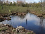 Multiple Culvert Crossing, Little Molunkus Stream at Aroostook Road, Benedicta Twp, Maine