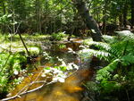 Multiple Culvert Crossing, Little Ossipee River at Pine Hill, Limington, Maine