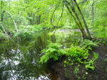 Multiple Culvert Crossing, Little River at Roland Day Rd, Cornish, Maine