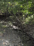 Multiple Culvert Crossing, Littlefield Brook at Park Tote Road, Trout Brook Twp, Maine