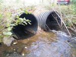 Multiple Culvert Crossing, Lively Brook at Merrill Mills Rd, Turner, Maine