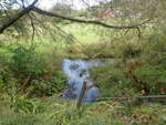 Multiple Culvert Crossing, Lively Brook at Merrill Mills Rd, Turner, Maine