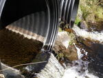 Multiple Culvert Crossing, Lively Brook at Tidswell Rd, Turner, Maine