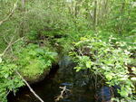 Multiple Culvert Crossing, Locke Brook at Bear Hill Rd, Hollis, Maine