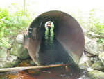 Multiple Culvert Crossing, Locke Brook at Bear Hill Rd, Hollis, Maine