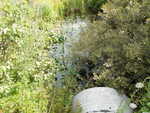 Multiple Culvert Crossing, Long Creek at Cummings Rd, South Portland, Maine