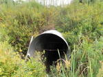 Multiple Culvert Crossing, Long Creek at Cummings Rd, South Portland, Maine